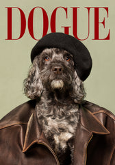 Dogue No4 Print