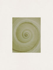 Spiral Study Print