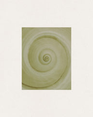 Spiral Study Print