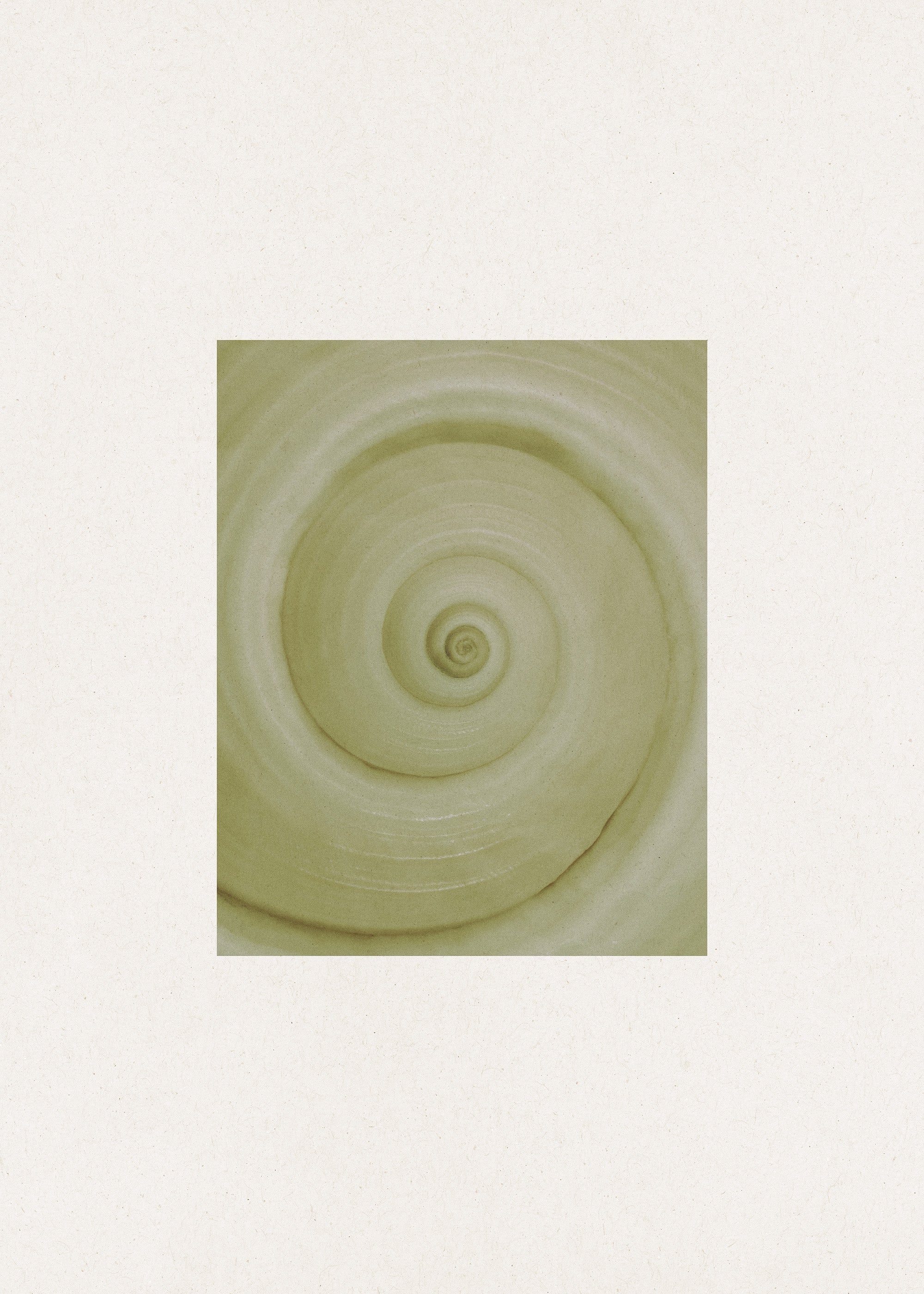 Spiral Study Print