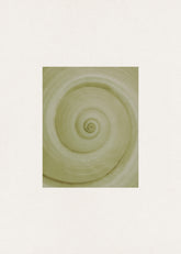 Spiral Study Print