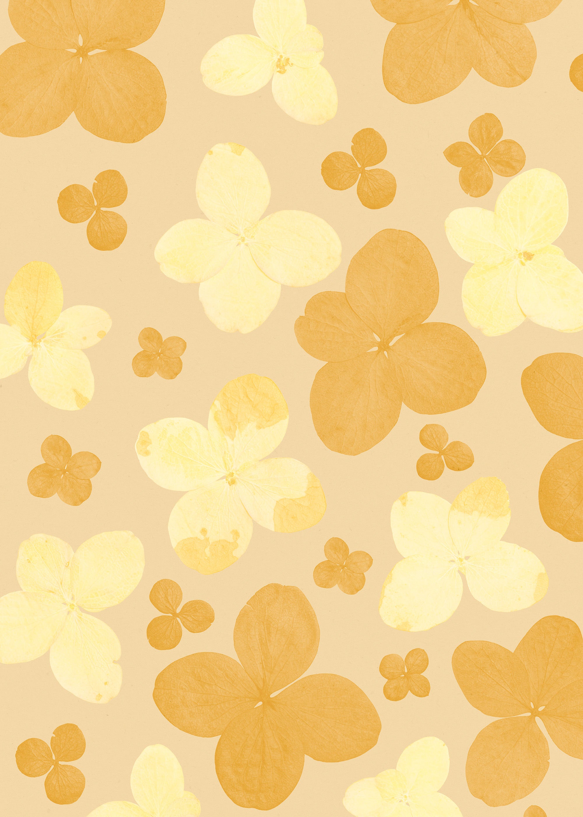 Bloom Room Print