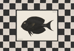 Vintage Surgeonfish Print