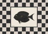 Vintage Surgeonfish Print