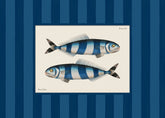 Vintage Pilot Fish Print