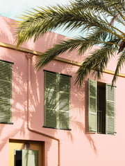 Palm and Pastel Print