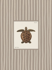 Vintage Sea Turtle Print