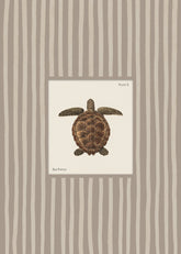 Vintage Sea Turtle Print