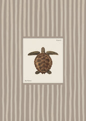 Vintage Sea Turtle Print