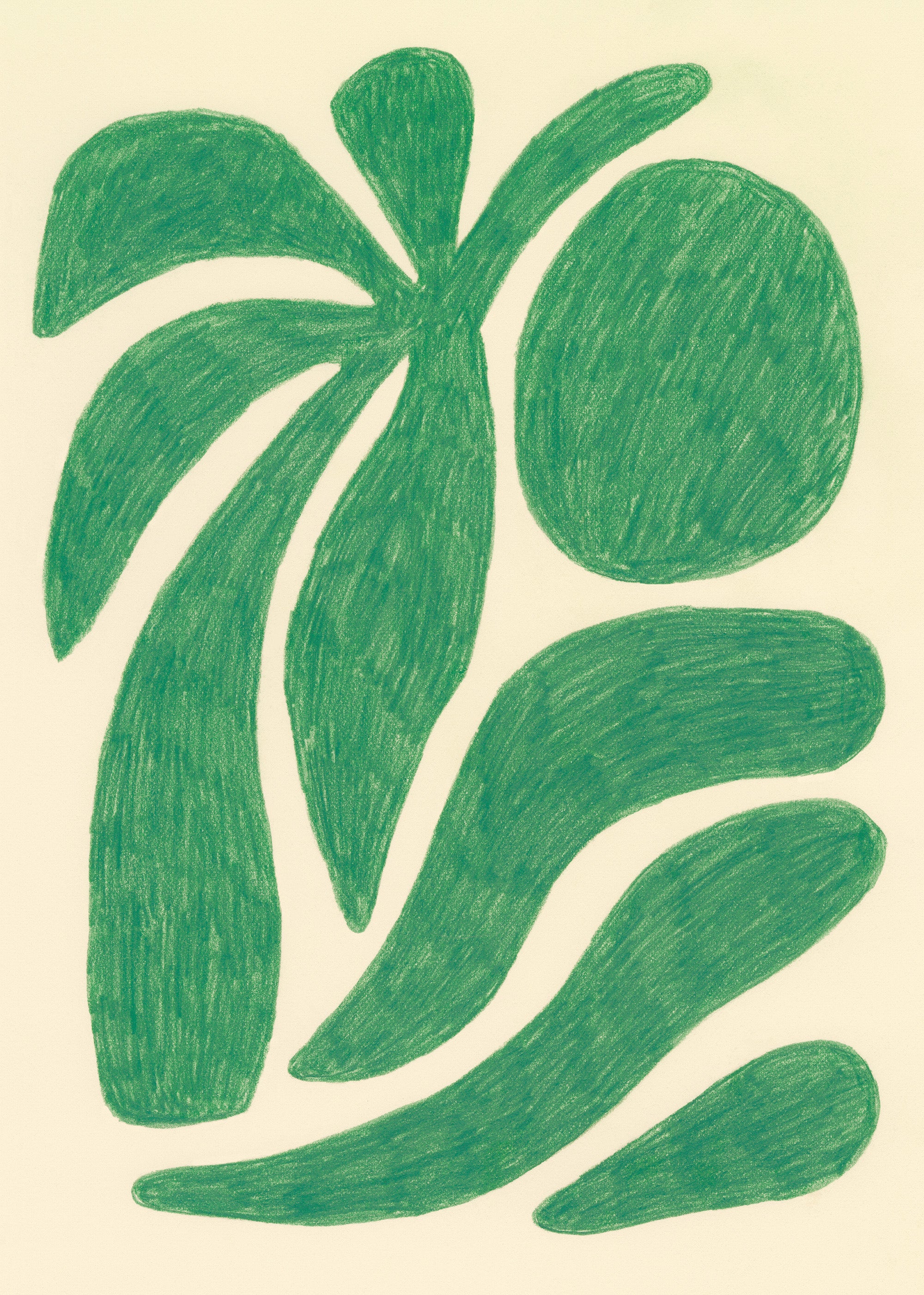 Palm Beach Print