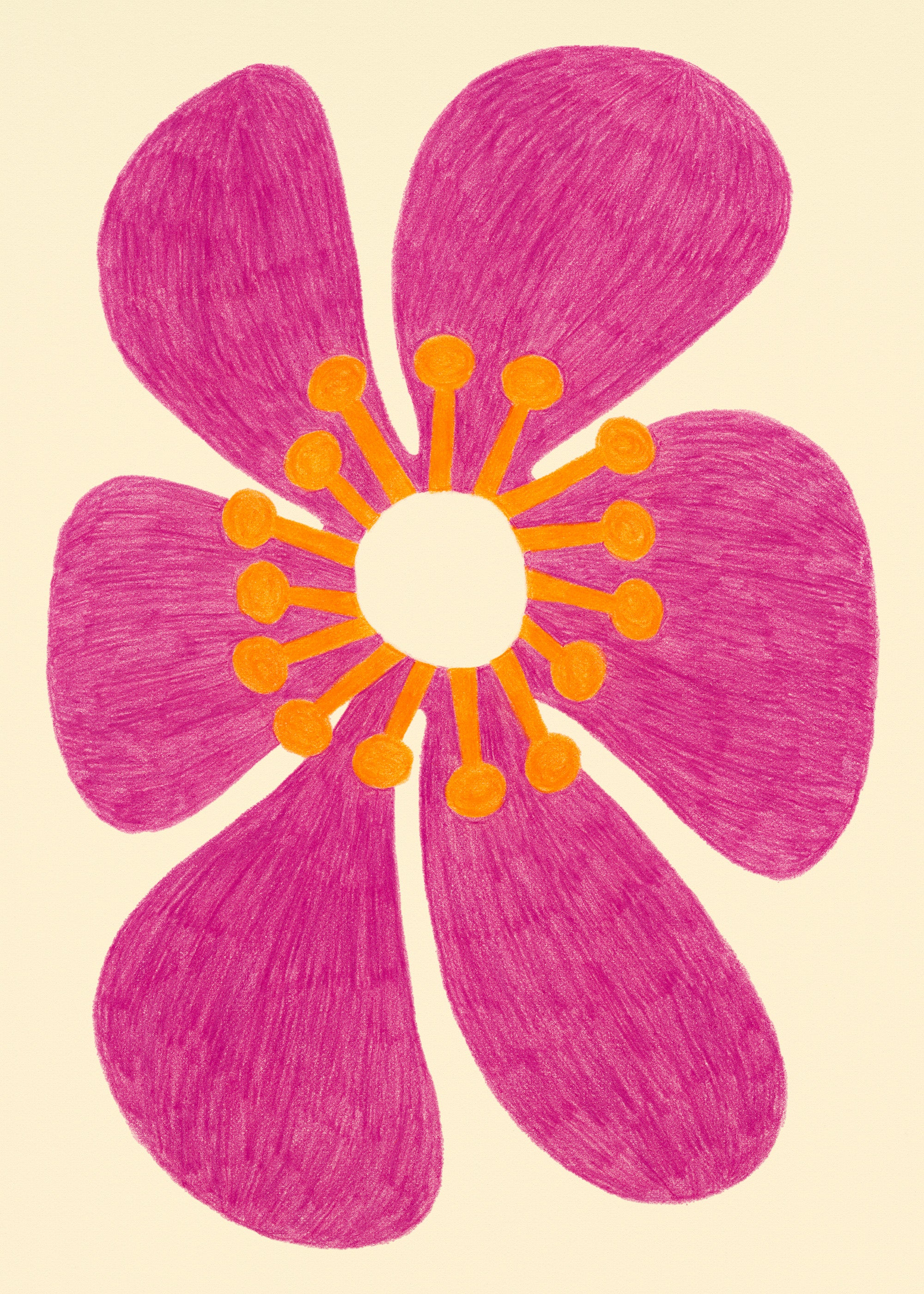 Sol Bloom Print