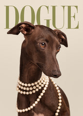 Dogue No5 Print