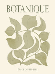 Botanique Verte Print