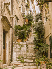 The Old Alley Print