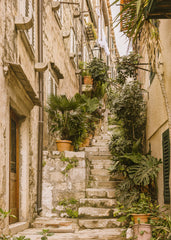 The Old Alley Print
