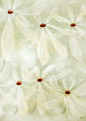 Kate Pottage - Dancing Blooms Print