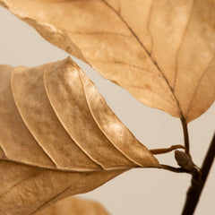 Fading Leaves Print
