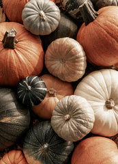 Mix of Pumpkins Print