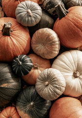 Mix of Pumpkins Print