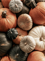 Mix of Pumpkins Print