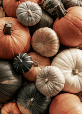 Mix of Pumpkins Print