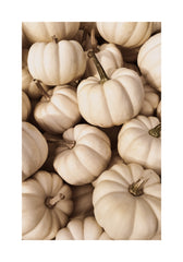 White Pumpkins Print