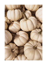 White Pumpkins Print