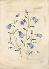 Bluebell Study Print