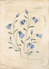 Bluebell Study Print