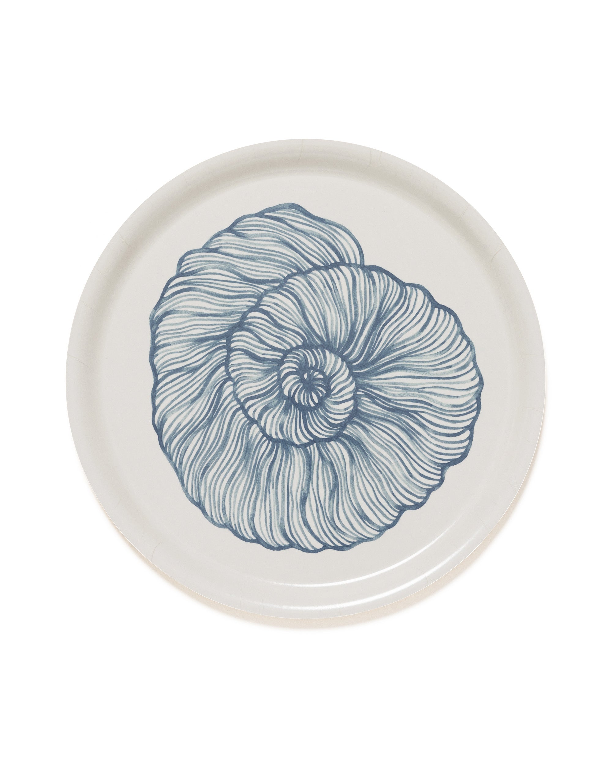 Seashell Tray
