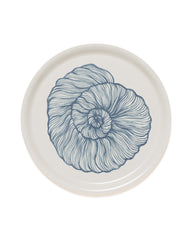 Seashell Tray
