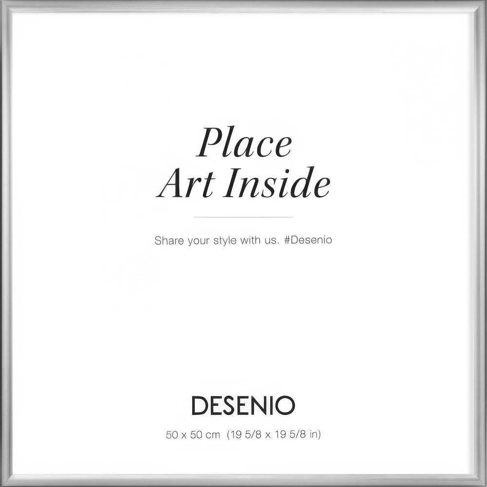 Picture frame Silver, 20 x 20 in