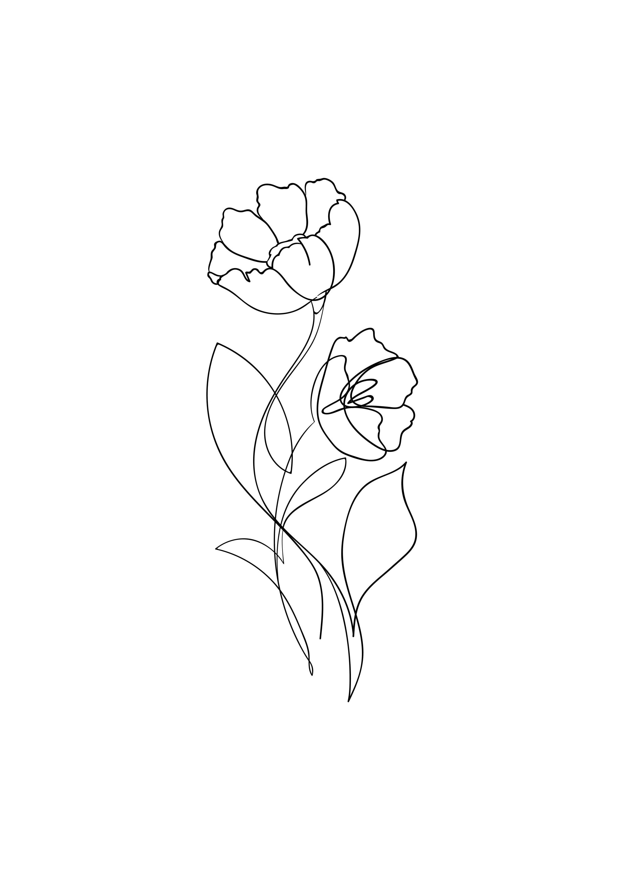 Flower Lines No1 Print