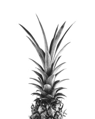Pineapple B&W Print