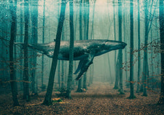 Whale in Forest Print