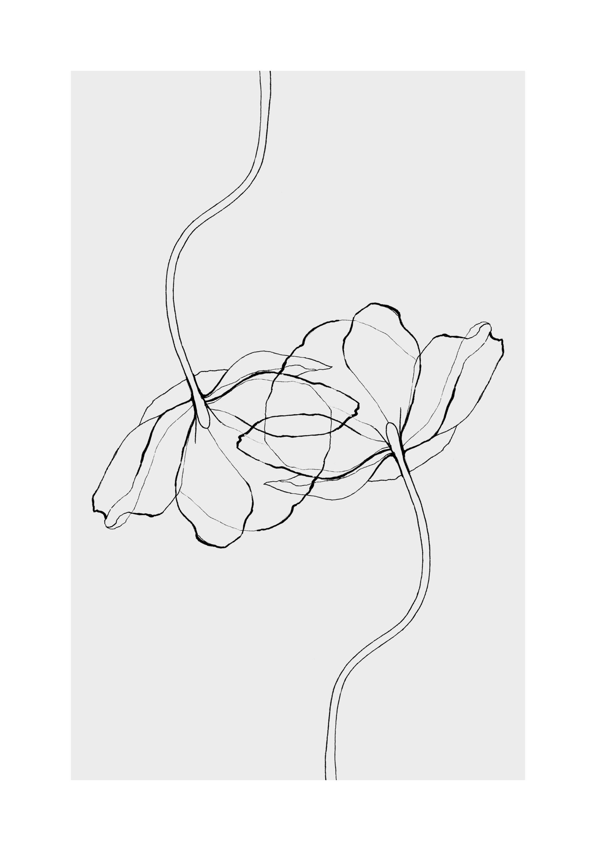 Line Poppies Print