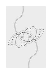 Line Poppies Print
