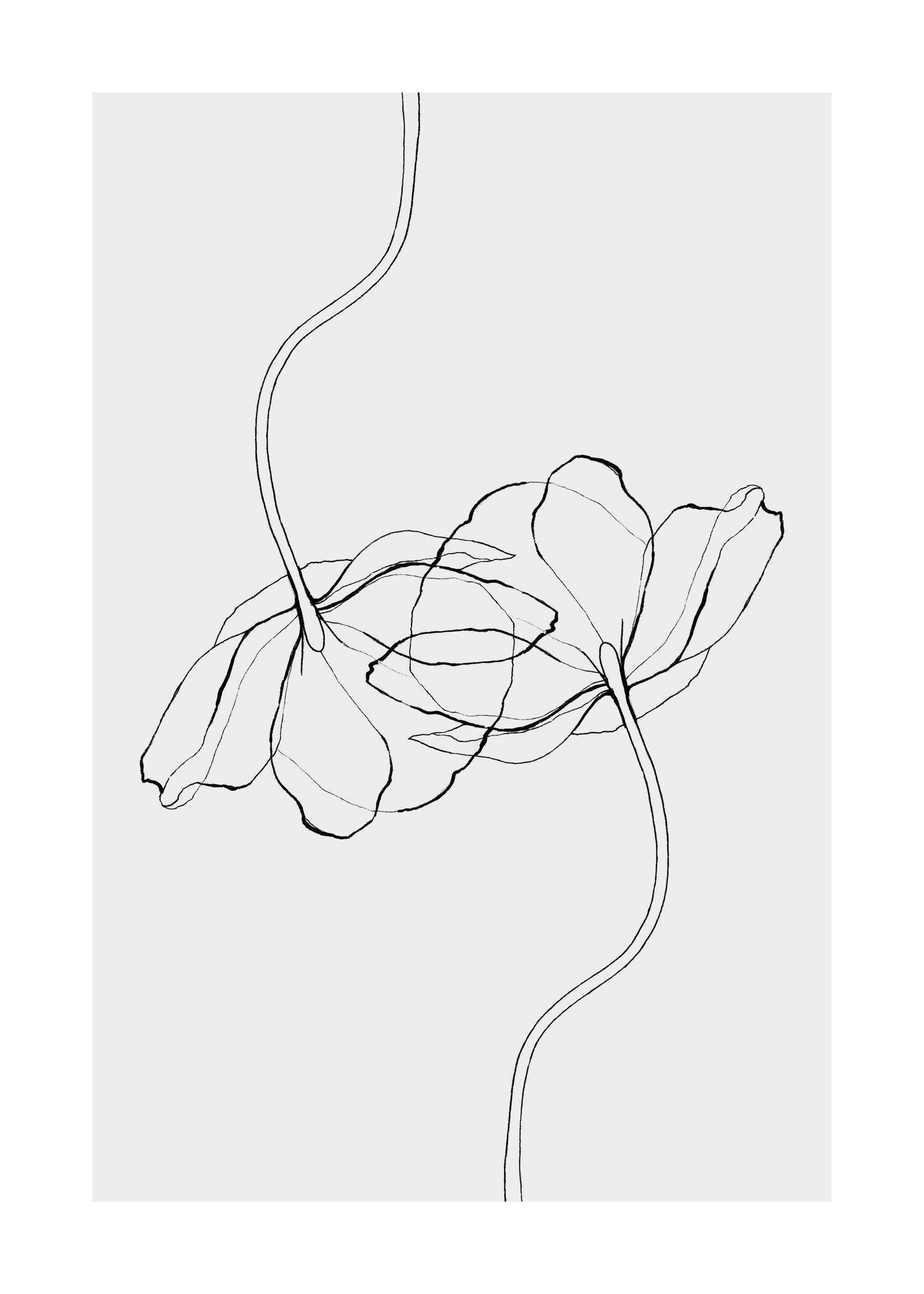 Line Poppies Print