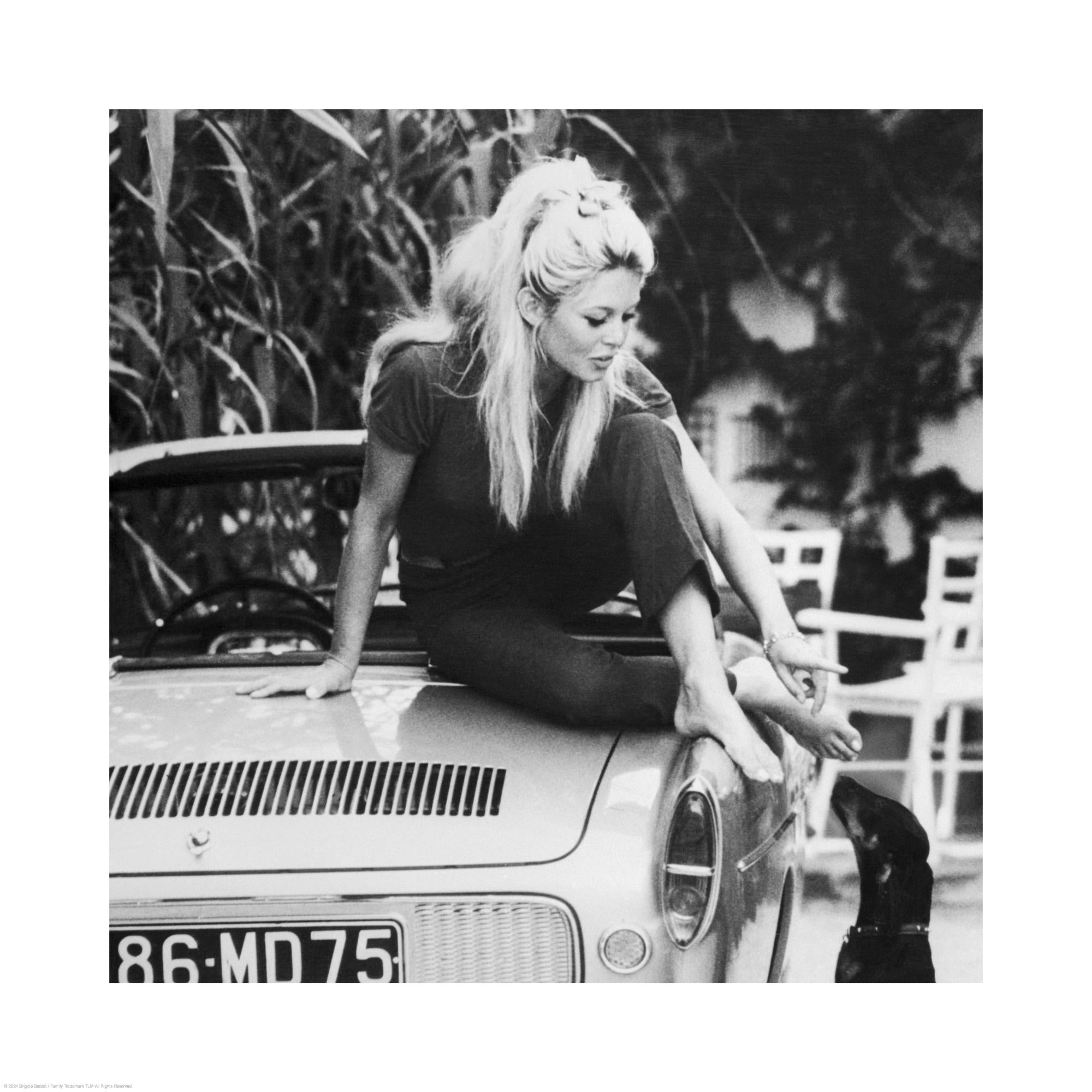 Brigitte Bardot Print