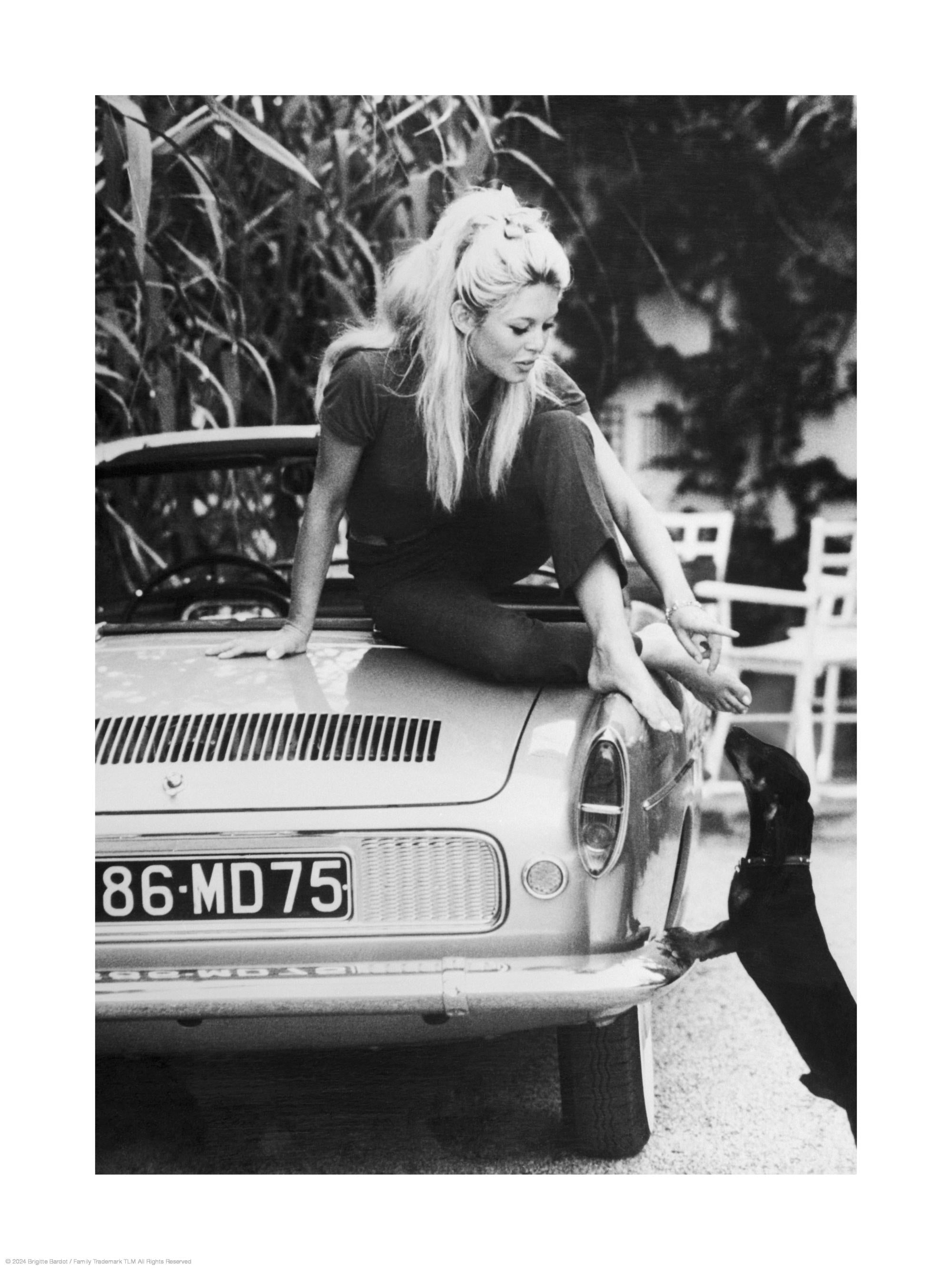 Brigitte Bardot Print