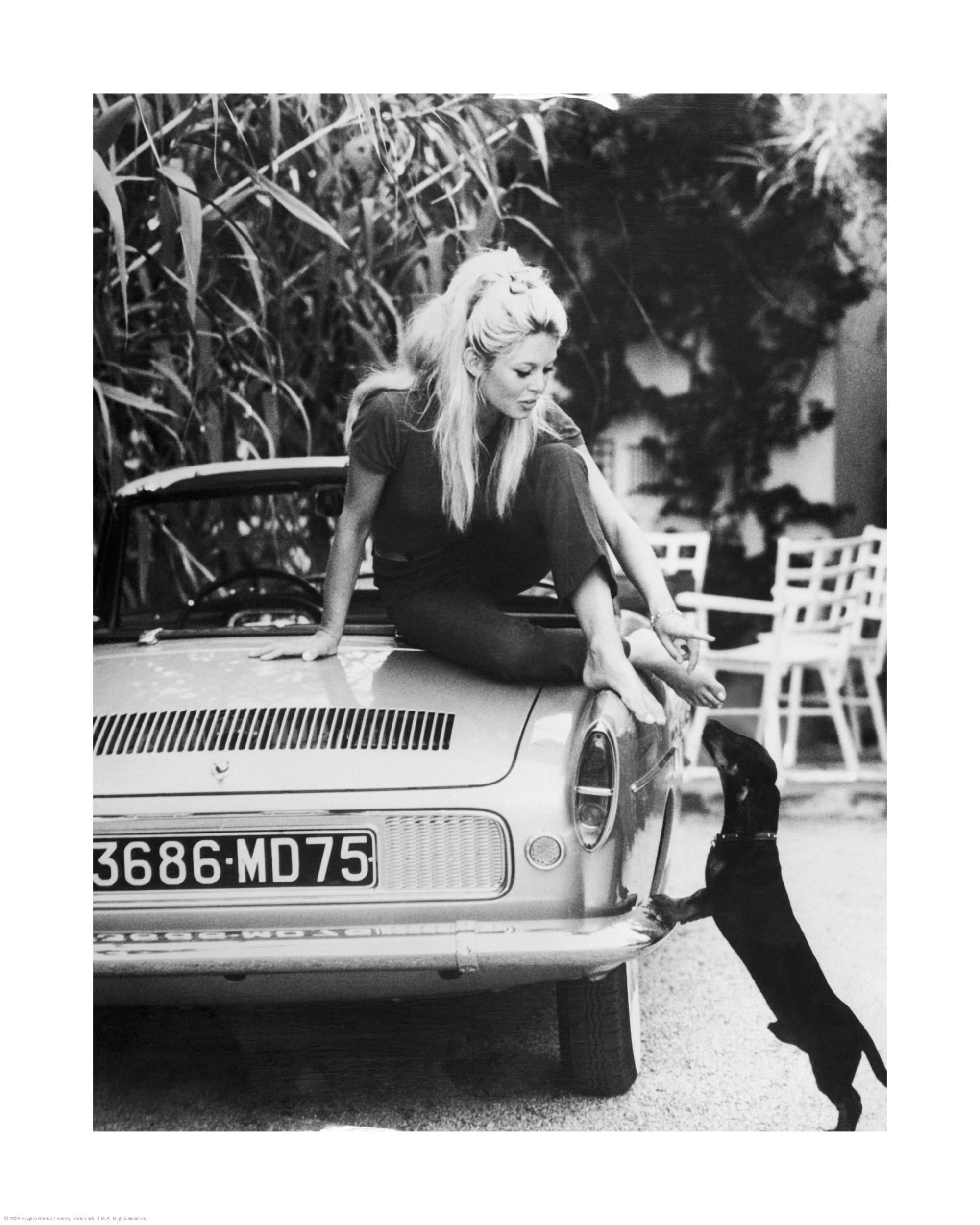 Brigitte Bardot Print