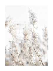 In the Reeds No2 Print