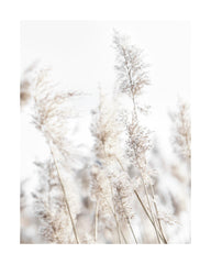 In the Reeds No2 Print
