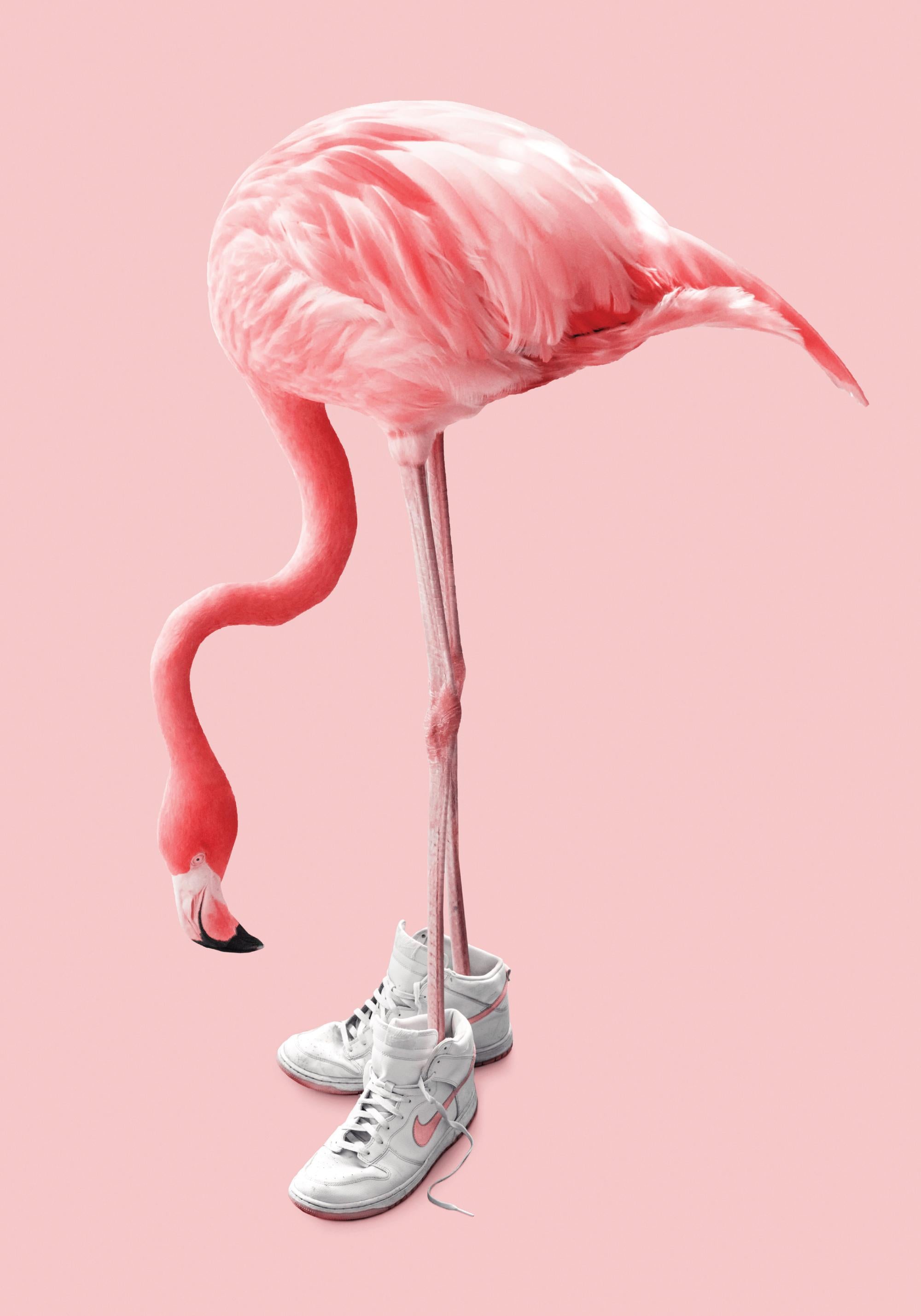 Jonas Loose - Sneaker Flamingo Print
