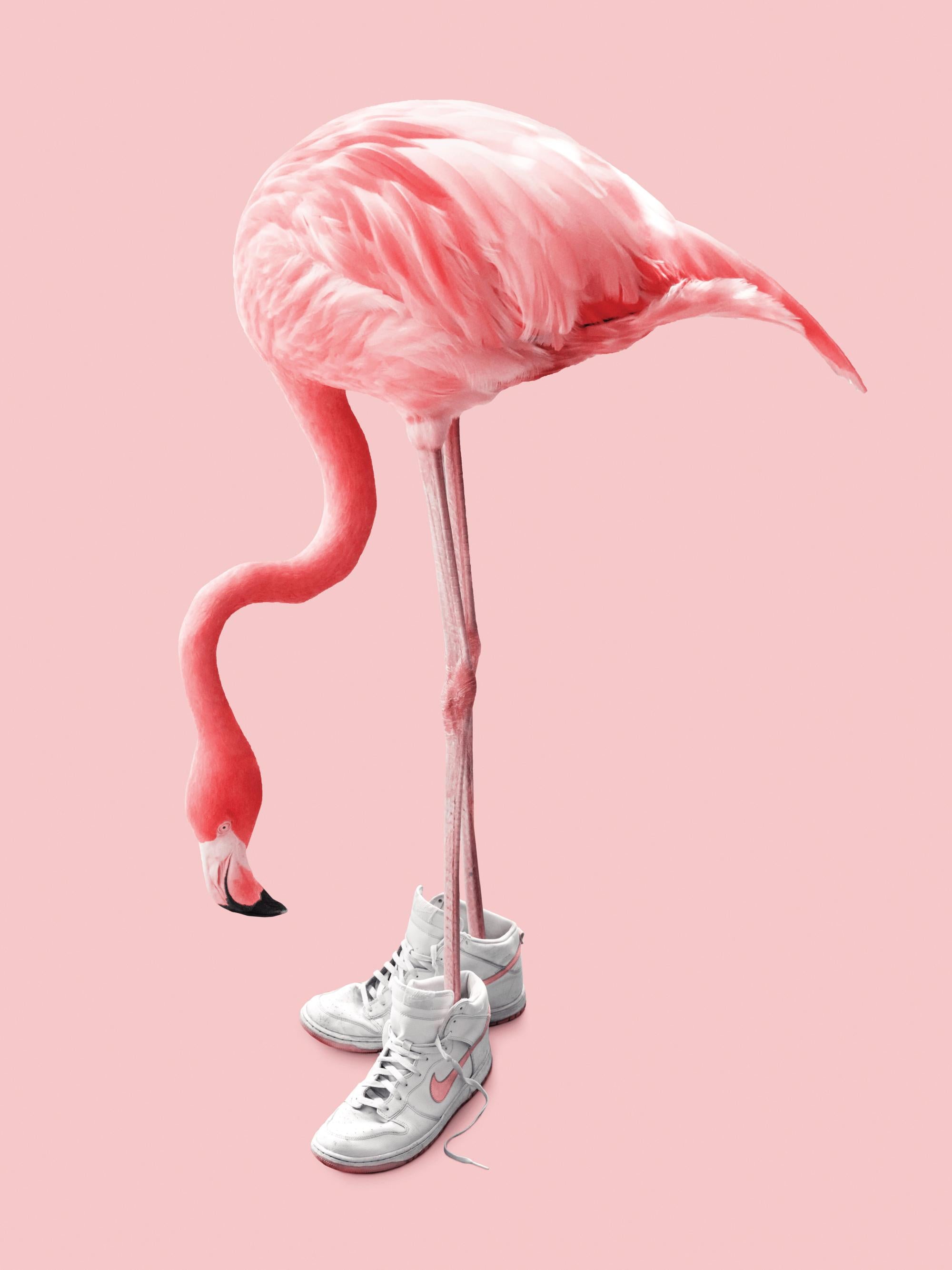 Jonas Loose - Sneaker Flamingo Print