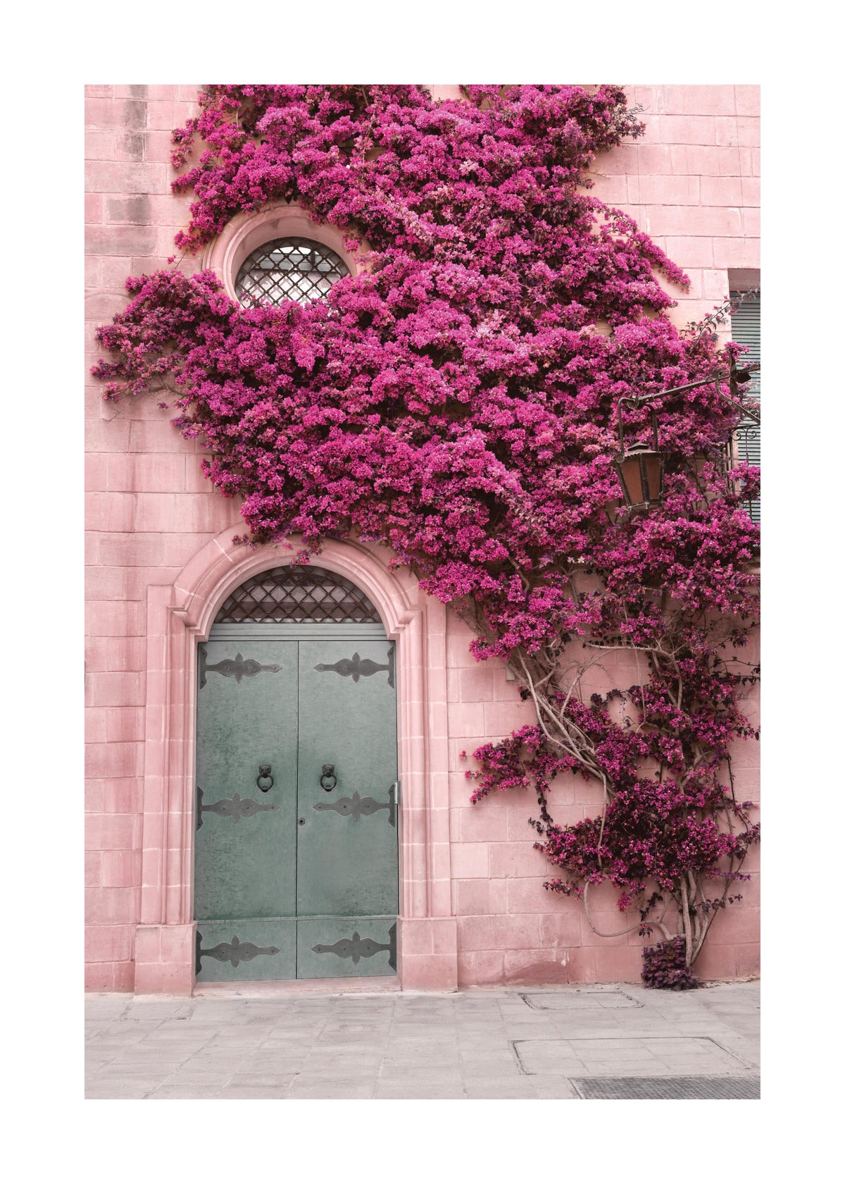Pink Flower Wall Print