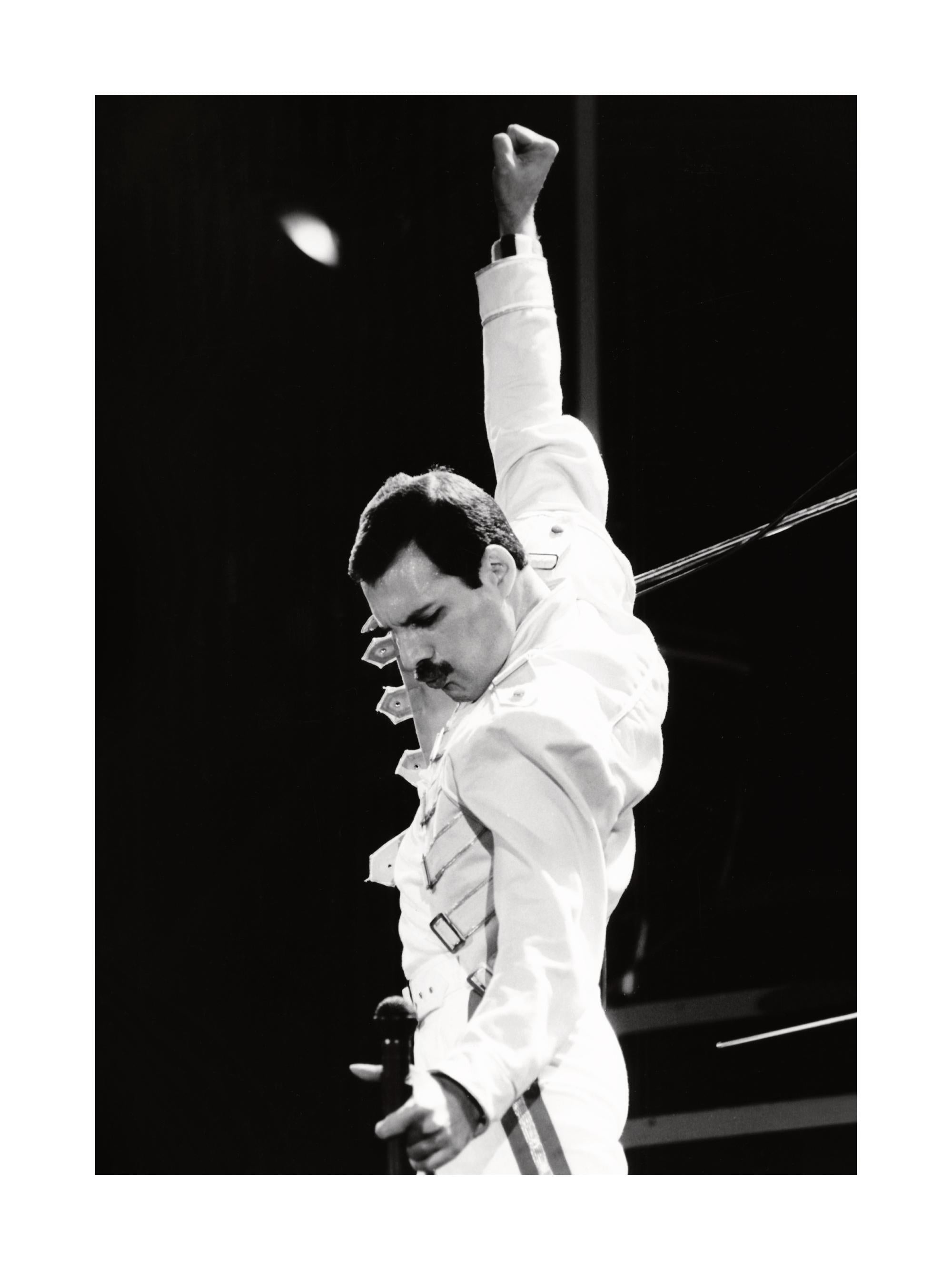 Freddie Mercury Print