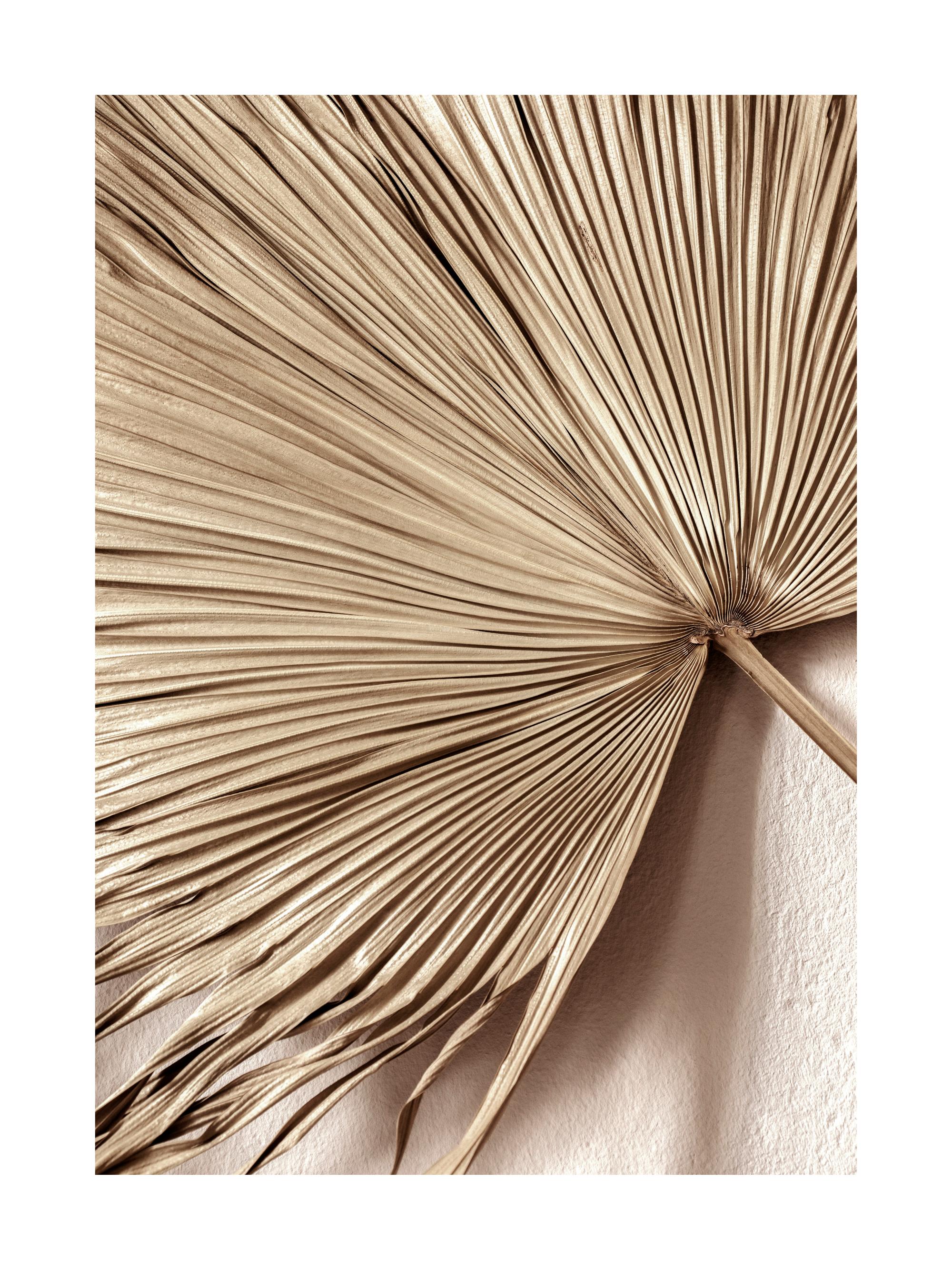 Golden Palm Leaf No1 Print