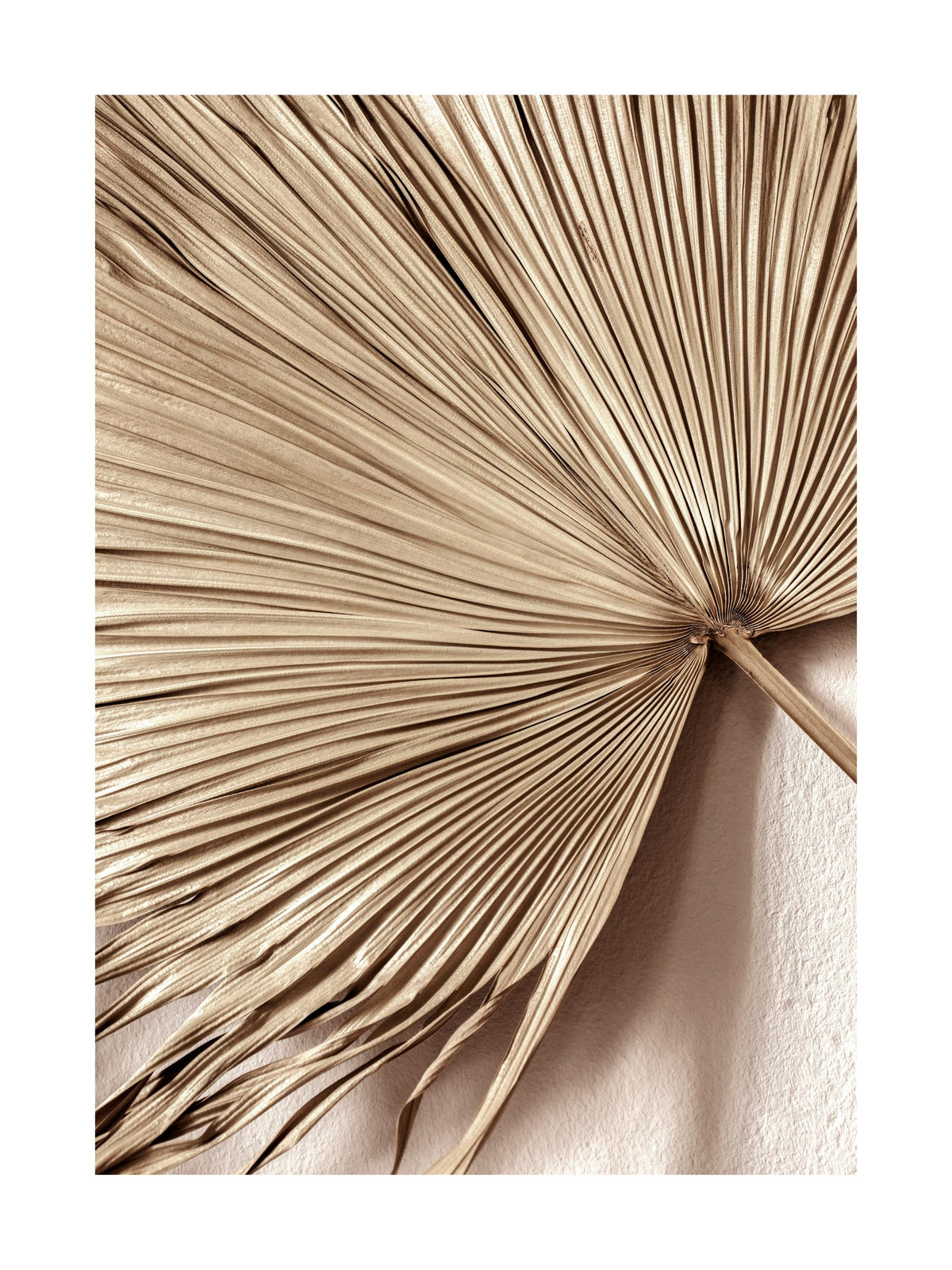 Golden Palm Leaf No1 Print