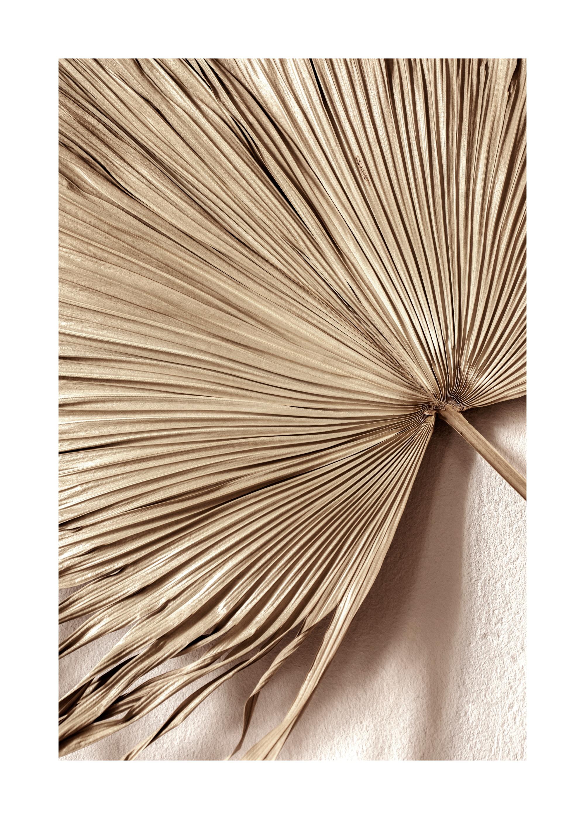 Golden Palm Leaf No1 Print